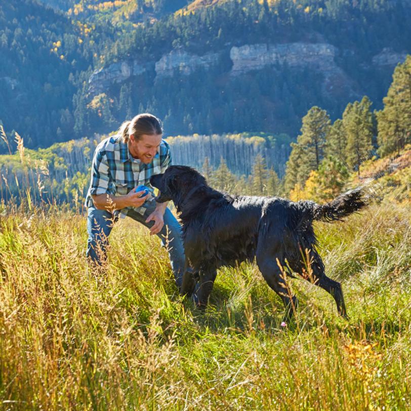 man playing with dog