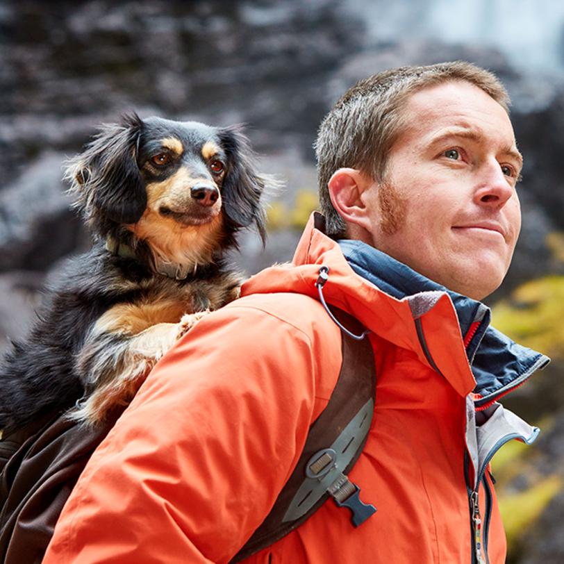 Man carrying a dog in a backpack