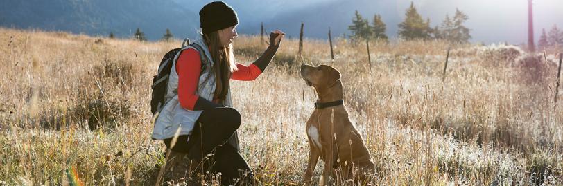 Woman petting dog in a field surrounded by trees 