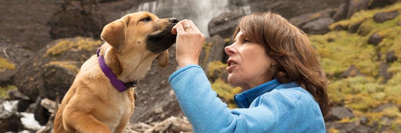 Woman feeding a dog a treat on a hike 