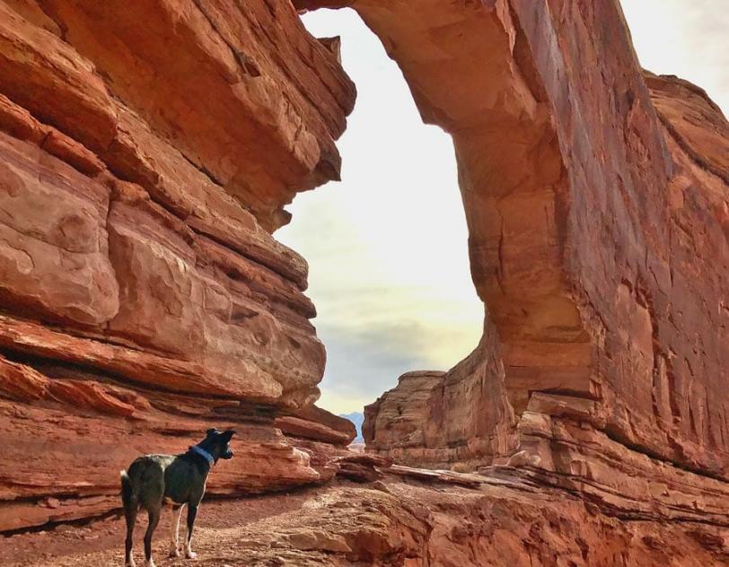  Jeep Arch