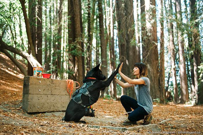 A woman with a dog