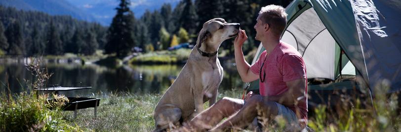 Image of man and dog by a tent and a lab. 