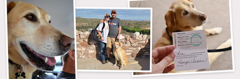 Three images across of a dog, two people posing with a doc, and the same dog with hir BARK Ranger dog tag