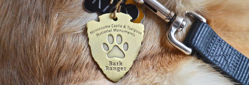 Close of up the BARK Ranger dog tag on a dog’s collar