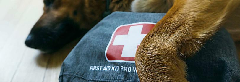 Image of a dog with its paw around a first aid kit