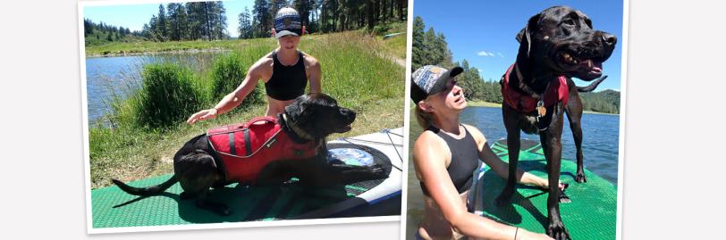 Woman training black dog to stand on paddleboard