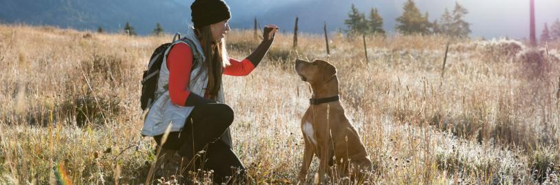 A woman giving a dog a treat while on a hike. 