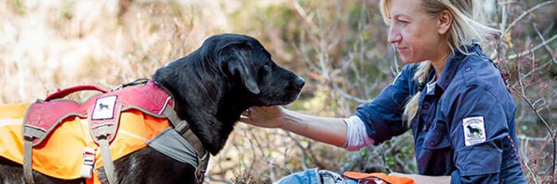 A woman petting a dog wearing an orange vest while outside. 