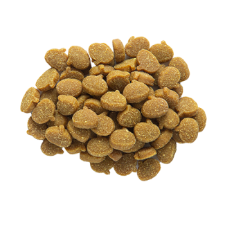 Zuke’s Mini Naturals Pumpkins Turkey & Pumpkin Recipe Dog Treats