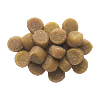 Zuke's Puppy Naturals Lamb Recipe Dog Treats