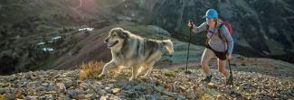 Image of a woman and a dog hiking on a steep trail. 