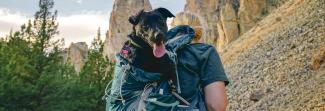 A woman hiking shown from behind with a dog in her hiking backpack