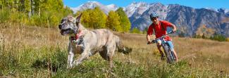 A dog running on a trail with a man biking behind the dog with mountains in the background. 