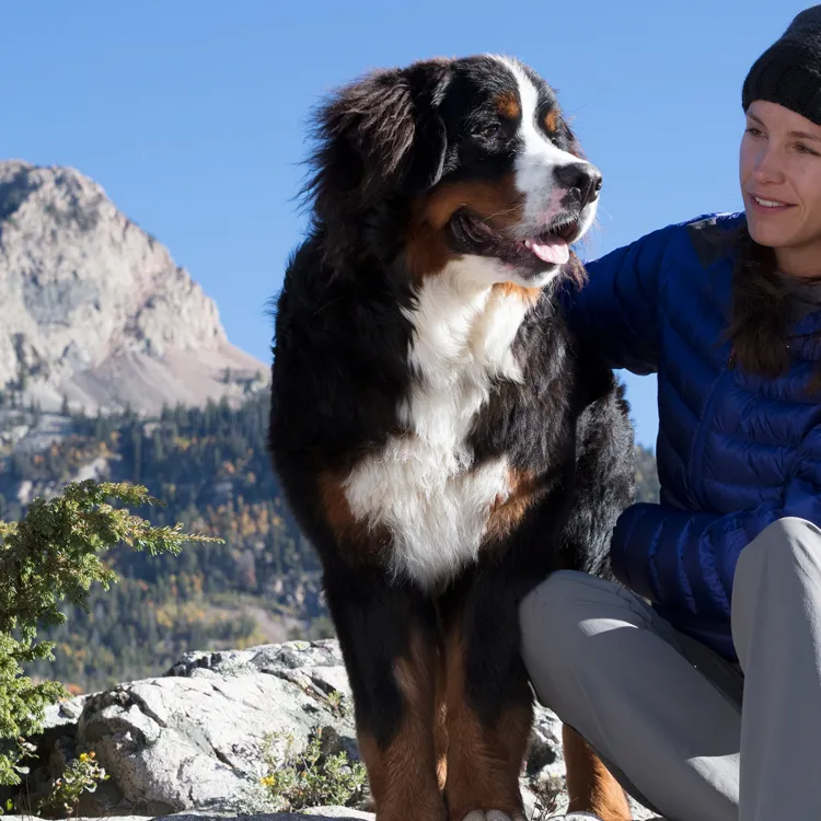 A woman sitting on a rock with a dog